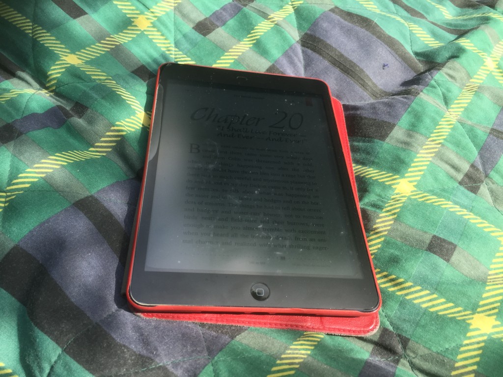 Jag läser en passande bok, The Secret Garden