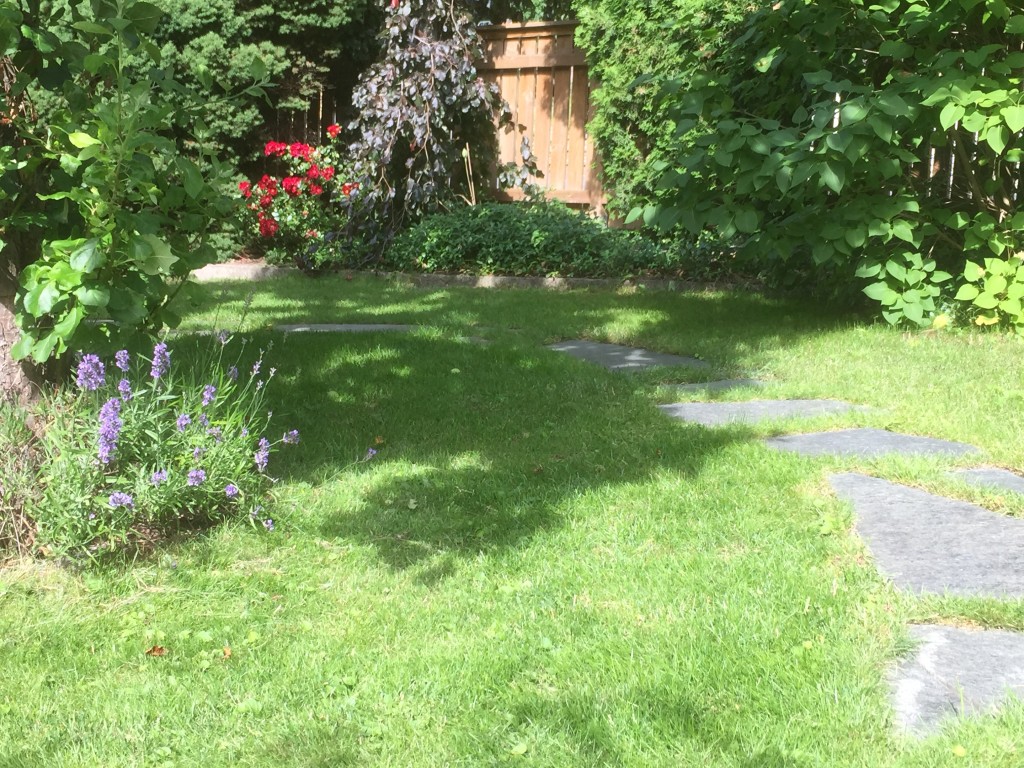 ingen ser mig bakom äppelträdet upp mot Bergsvägen